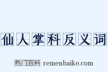 仙人掌科反义词是什么意思的图片